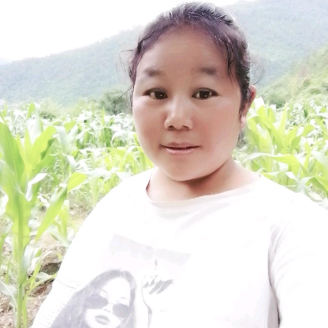 灵活的胖子