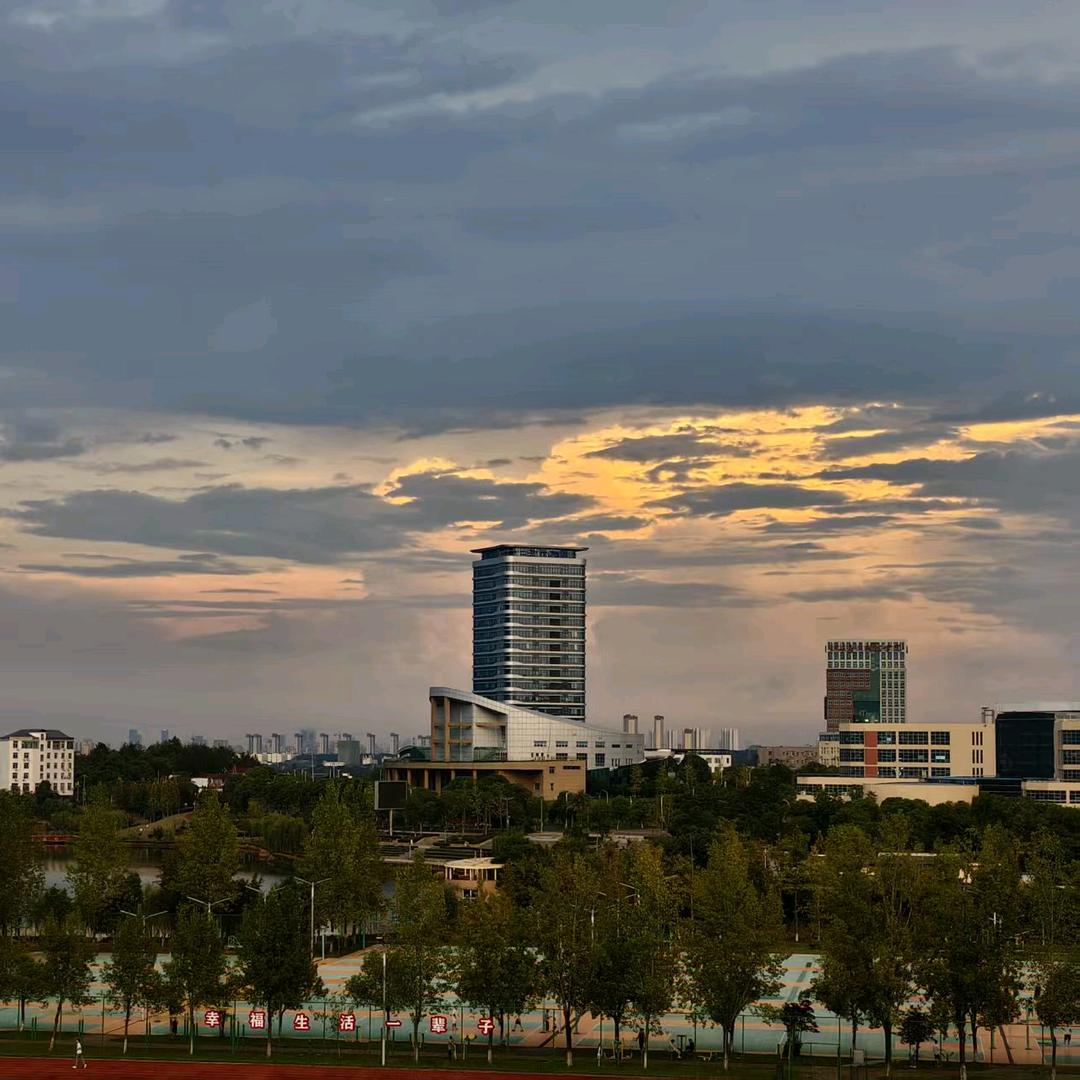 鑫淼姐（谢绝连赞）