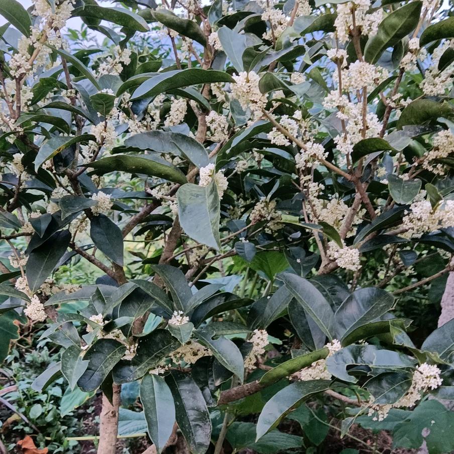 幸福靠自己⁷⁷⁷⁷