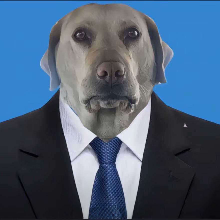 雨夜带刀不带伞