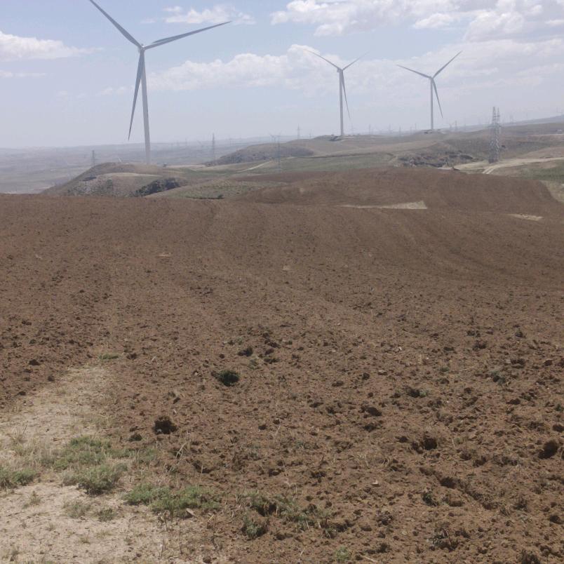 中国文冠果之乡