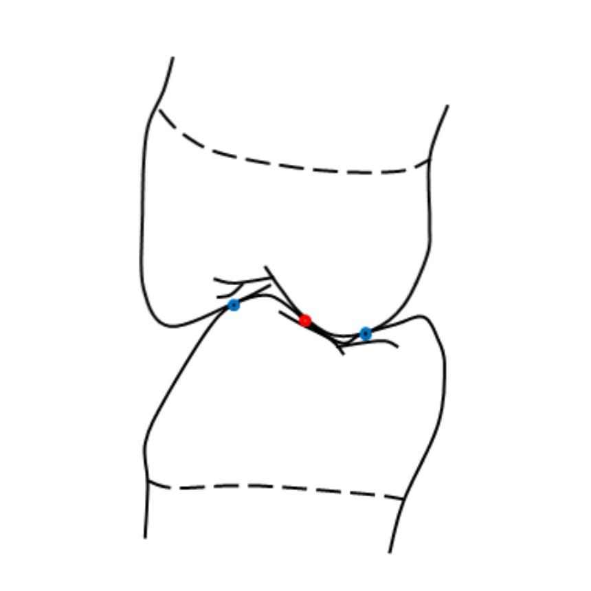 OralDental