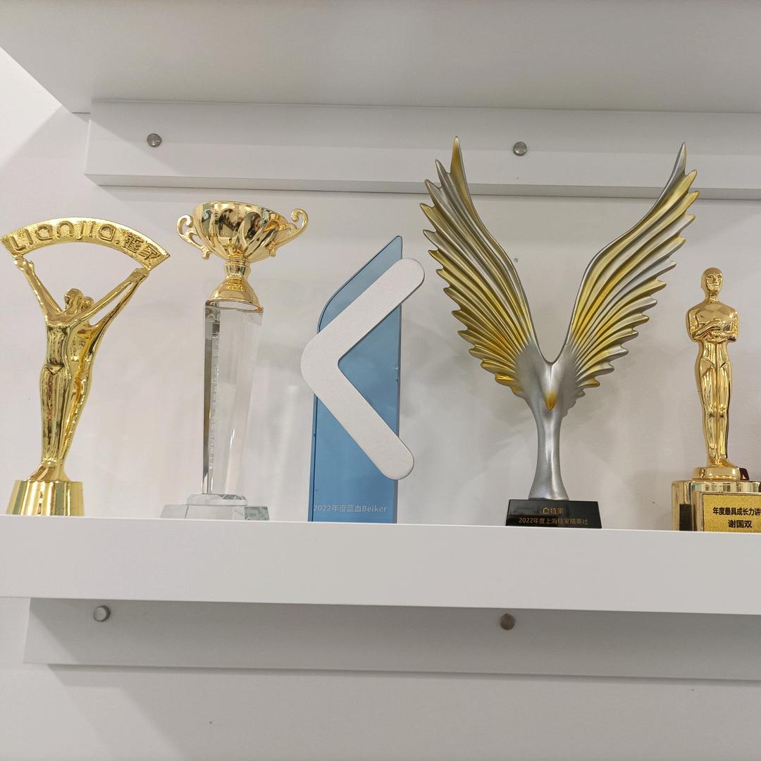 上海买房陪跑员