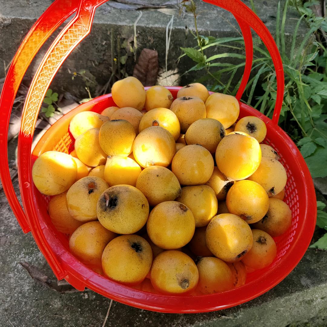 七月是你的谎言