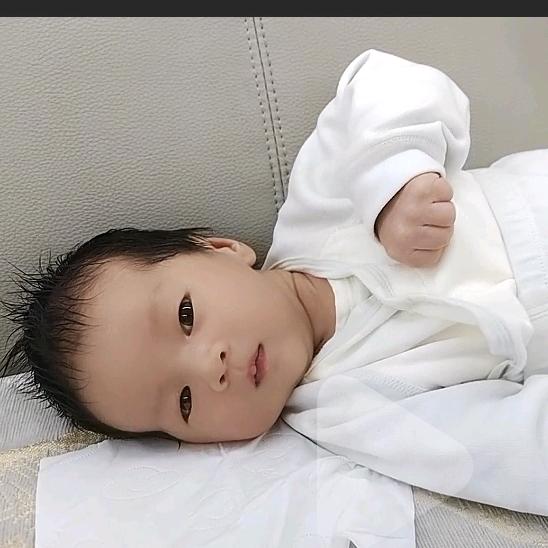 陈皮很陈