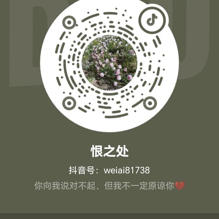 恨之处