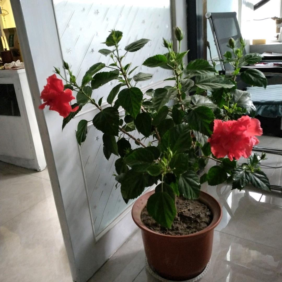 快乐过好每一天