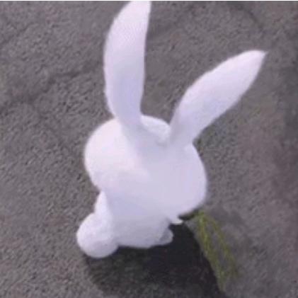 等帆启航