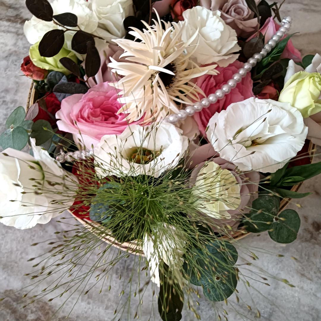 日月度心🙏🏻