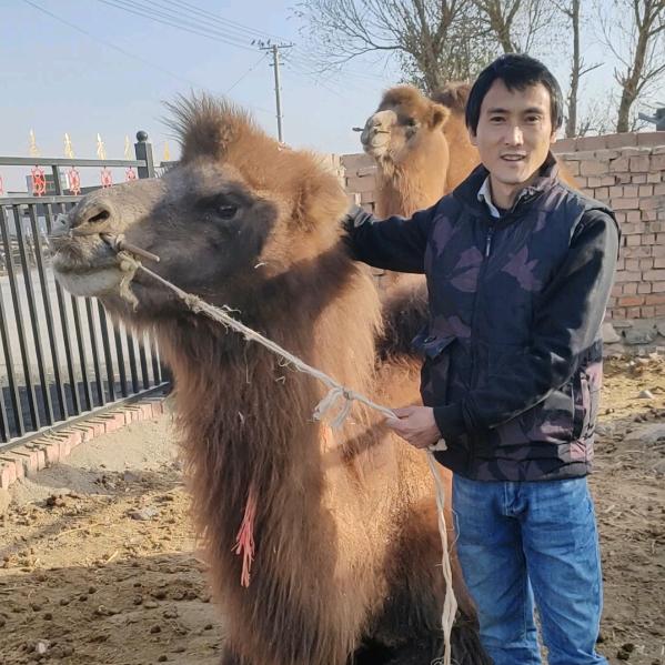 艾特养殖