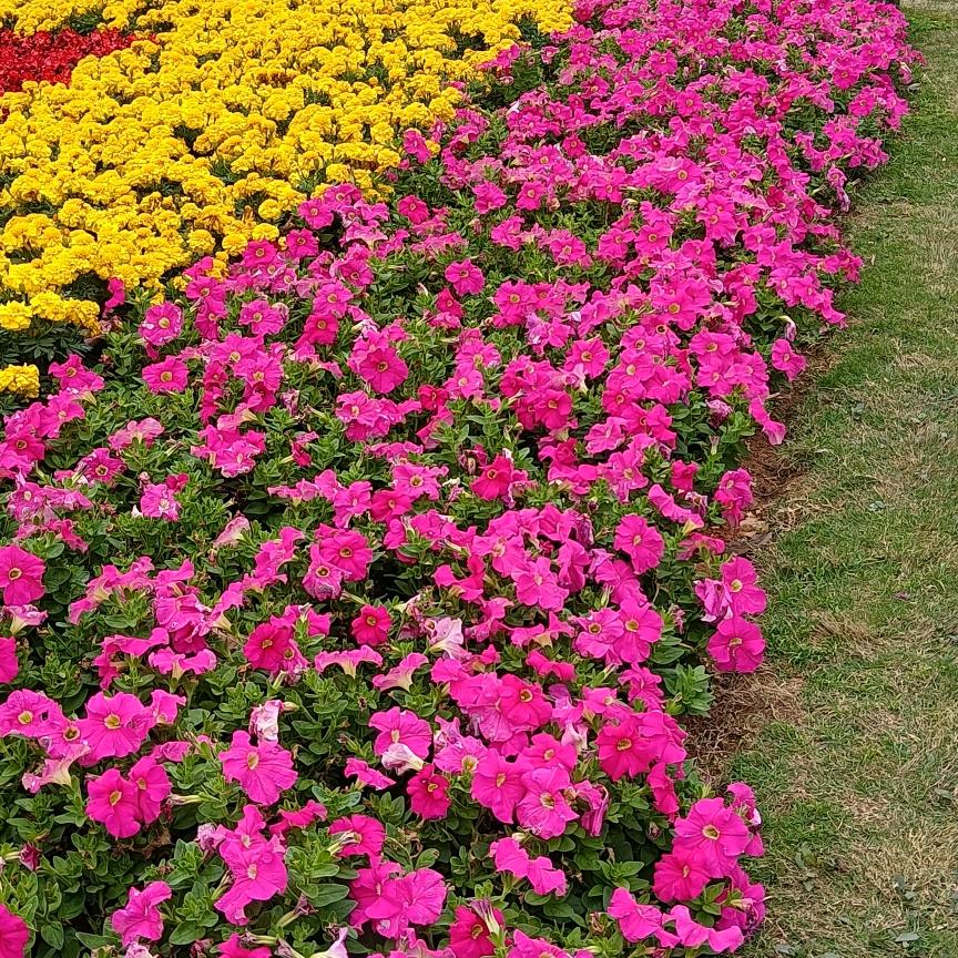 希望余生都是你.