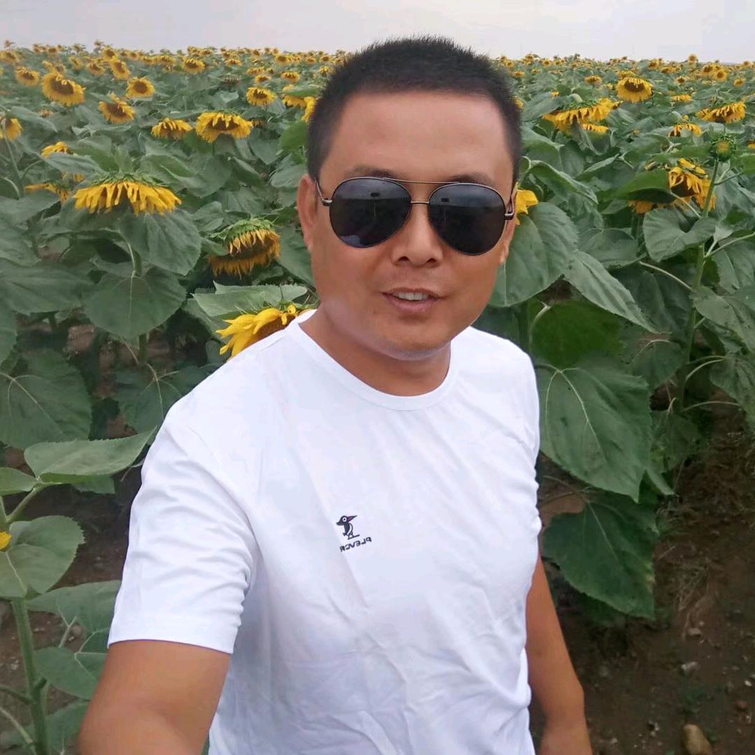 服装界的二哈