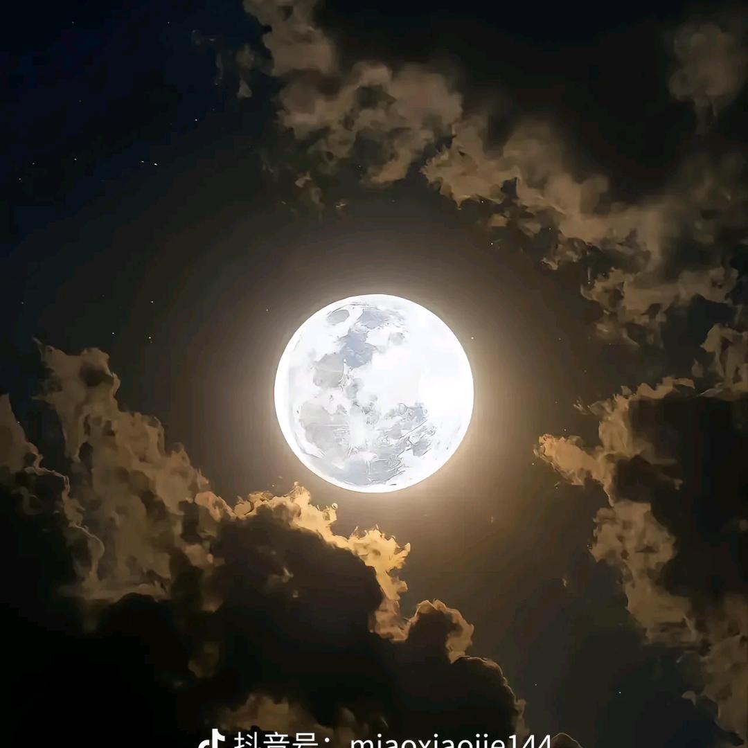 花终究落了