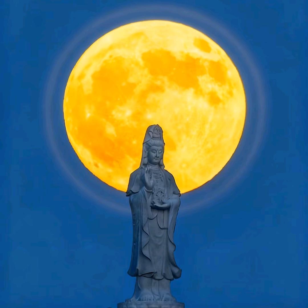 🌈小张（不要连赞）