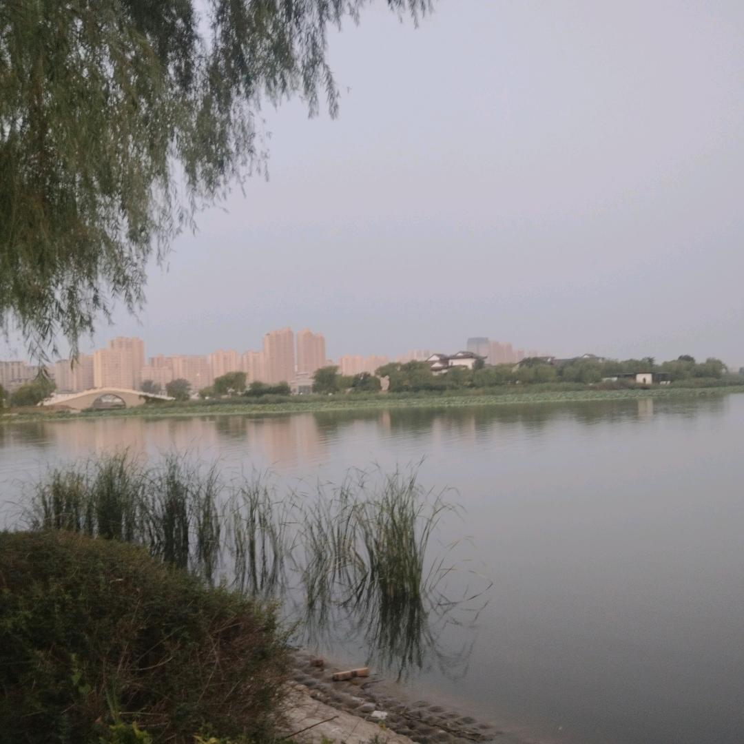 就爱苹果头像