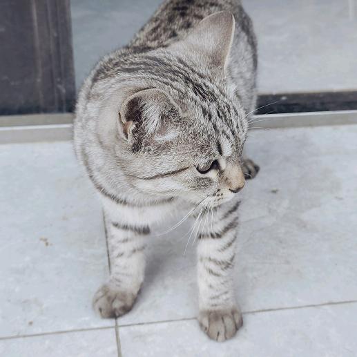 陶宝富工作防水