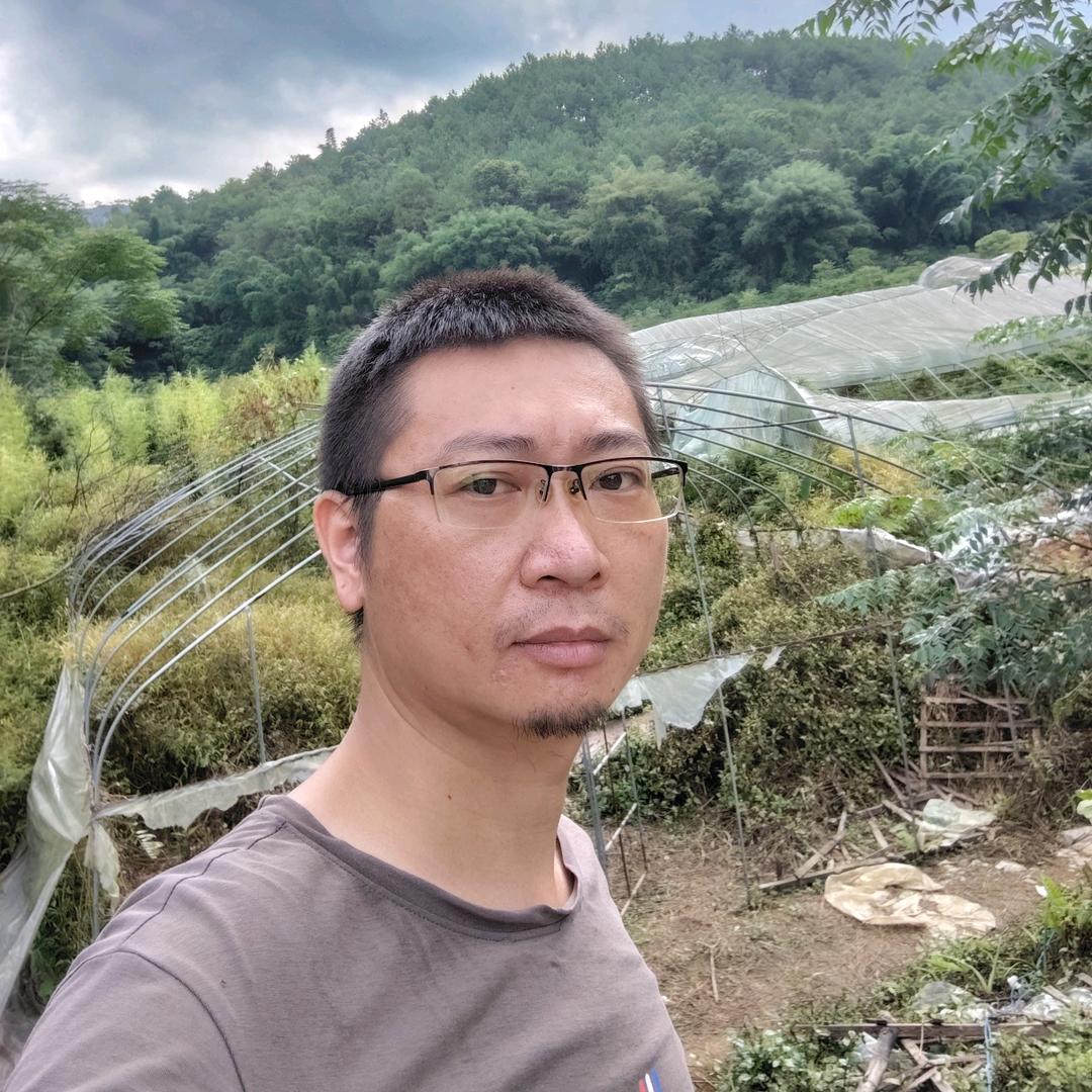 周老二回农村
