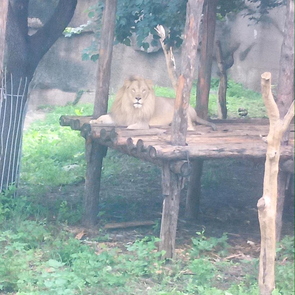 不动