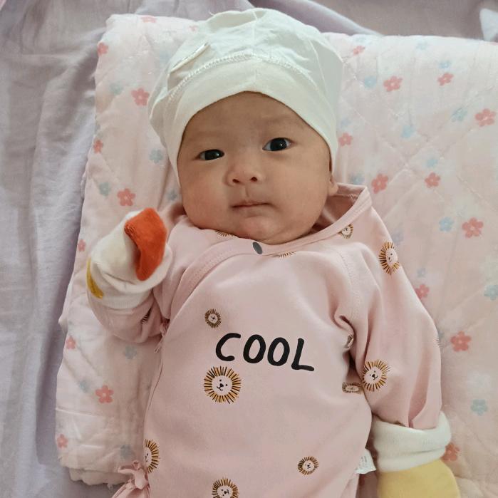 啊倪萌娃生活纪录片