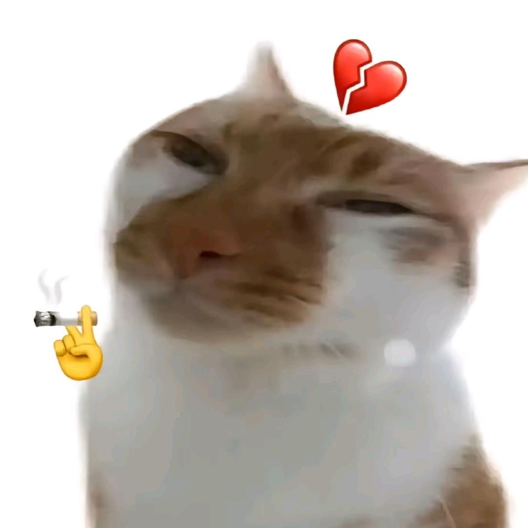 Bd
