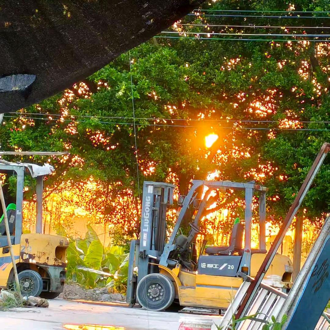 风的微笑204(我的老公是叉车教练)