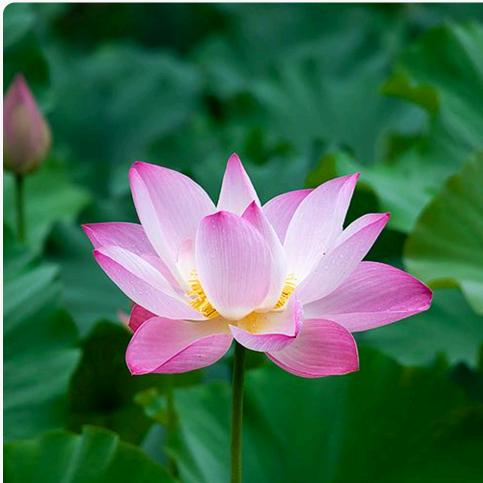 余生♡ 幸福🧸