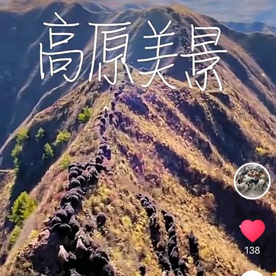 苏壳子农场！