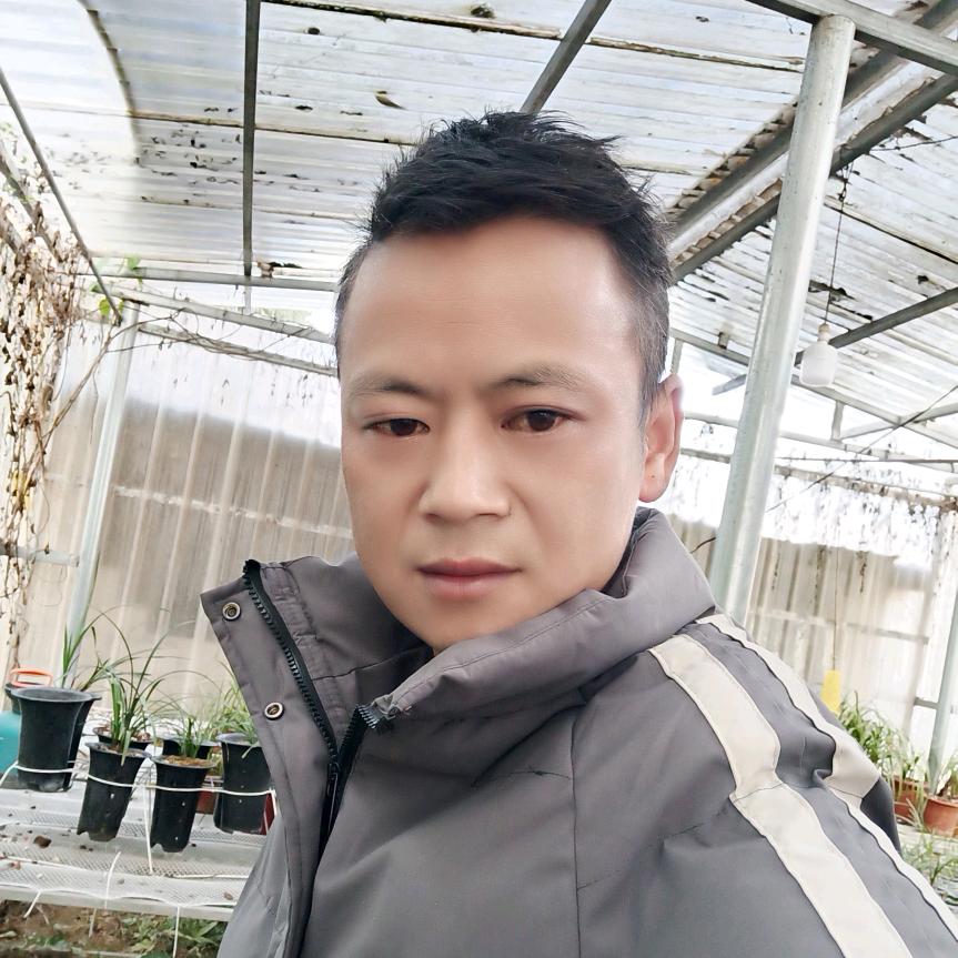 相约在冬季🌷🌷