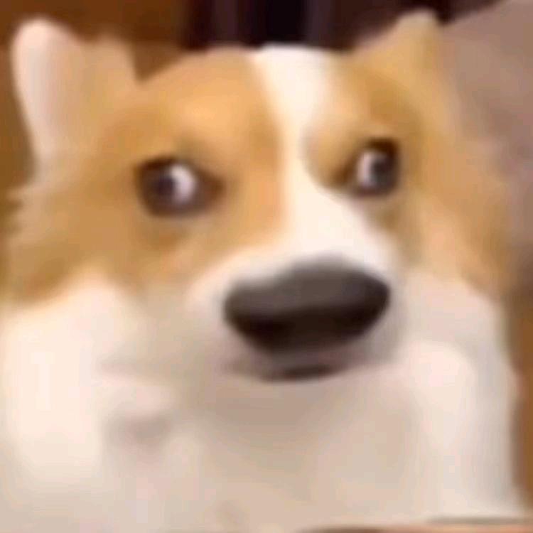 不会唱歌的体育生