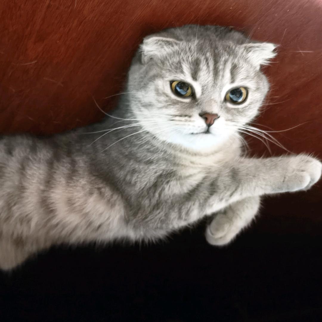风轻云淡
