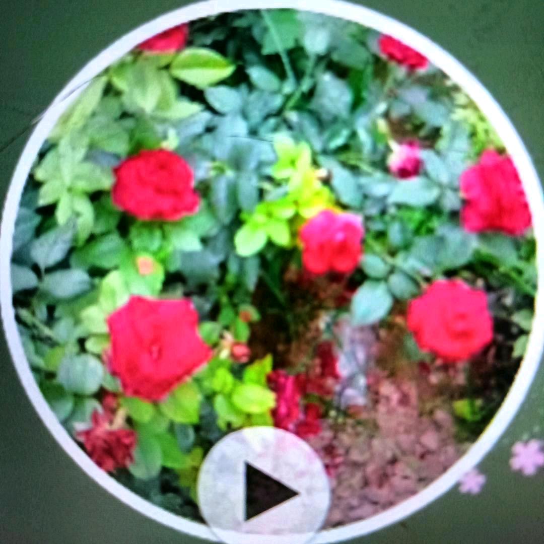 李德府马丙芳残疾人