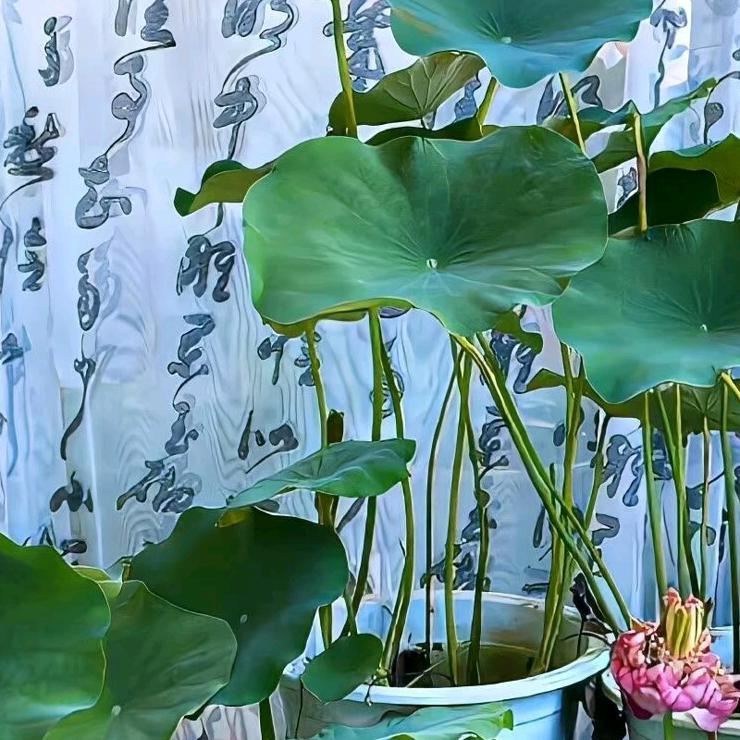 苗老师说教育