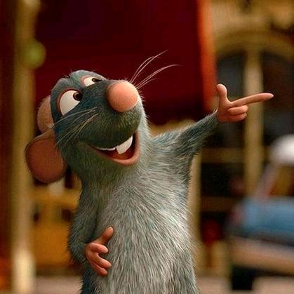 ئاشپەز چاشقان ﮼