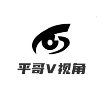 平哥V视角