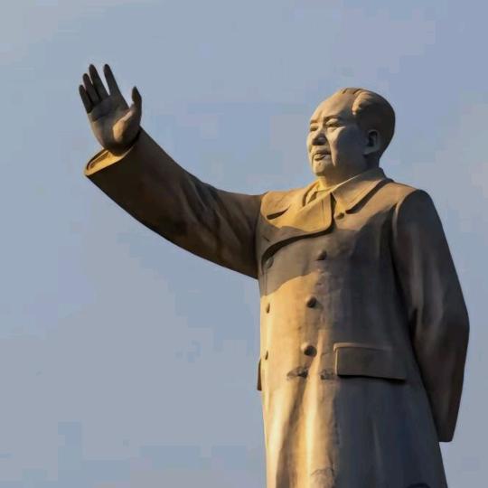 后知后觉