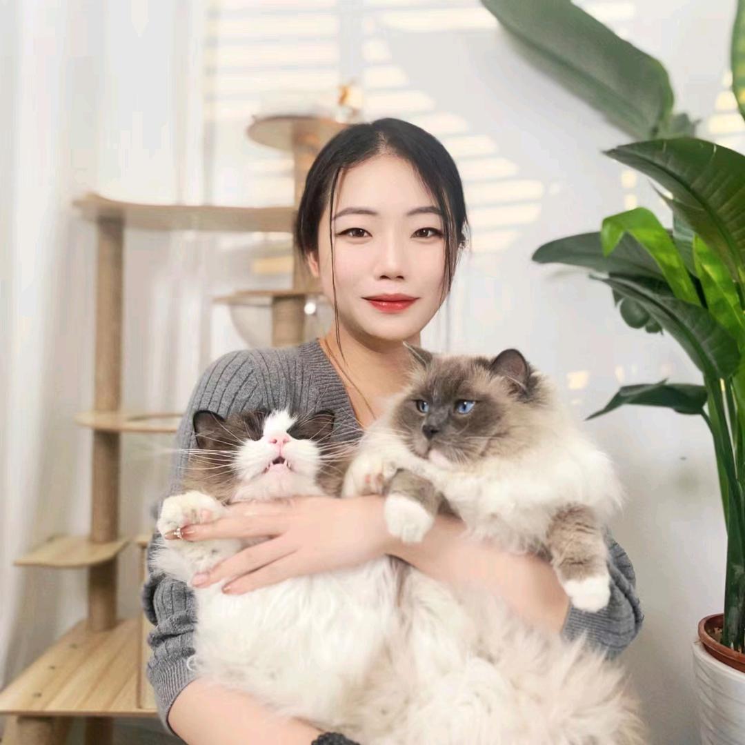喜喜和猫咪
