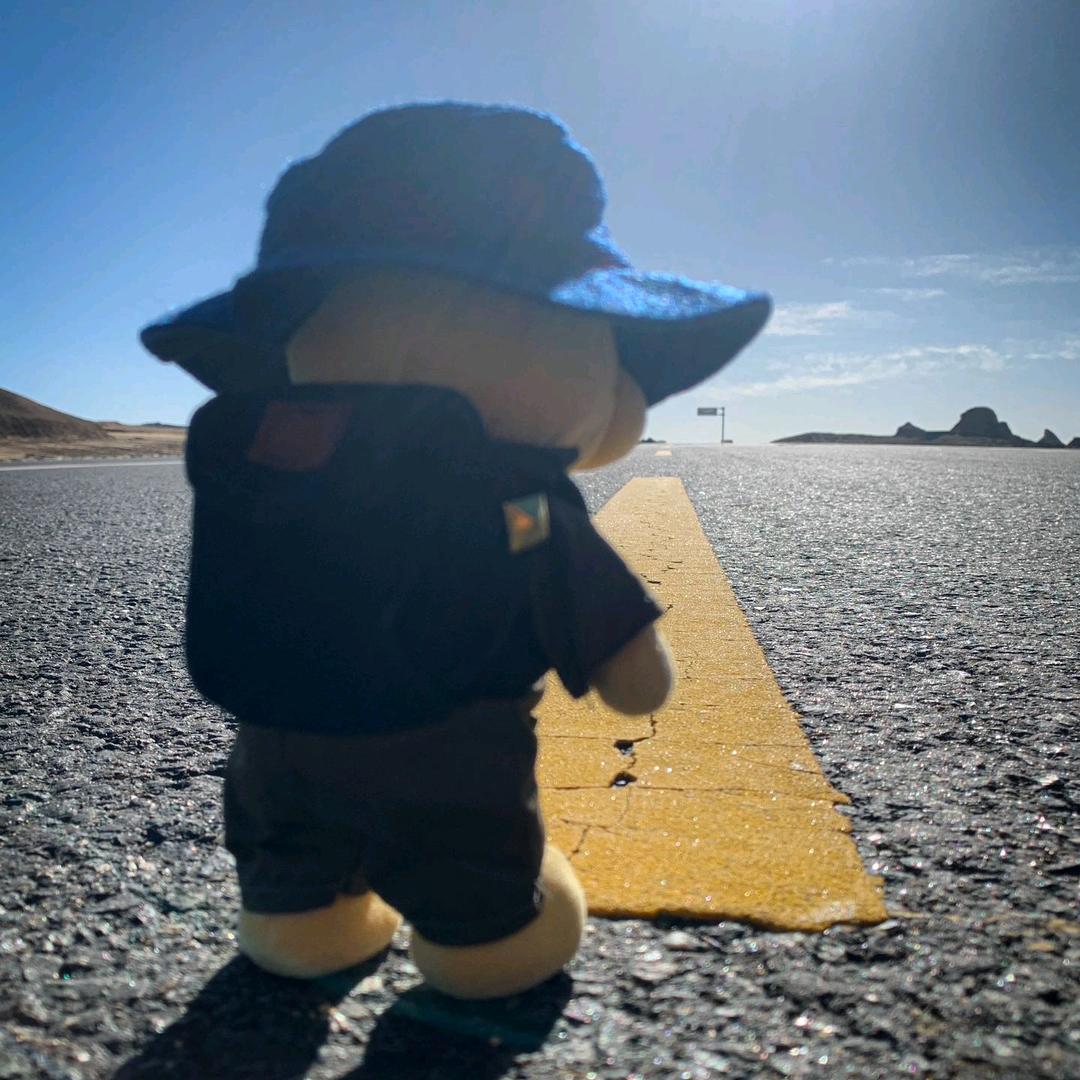 成都姚先生看房