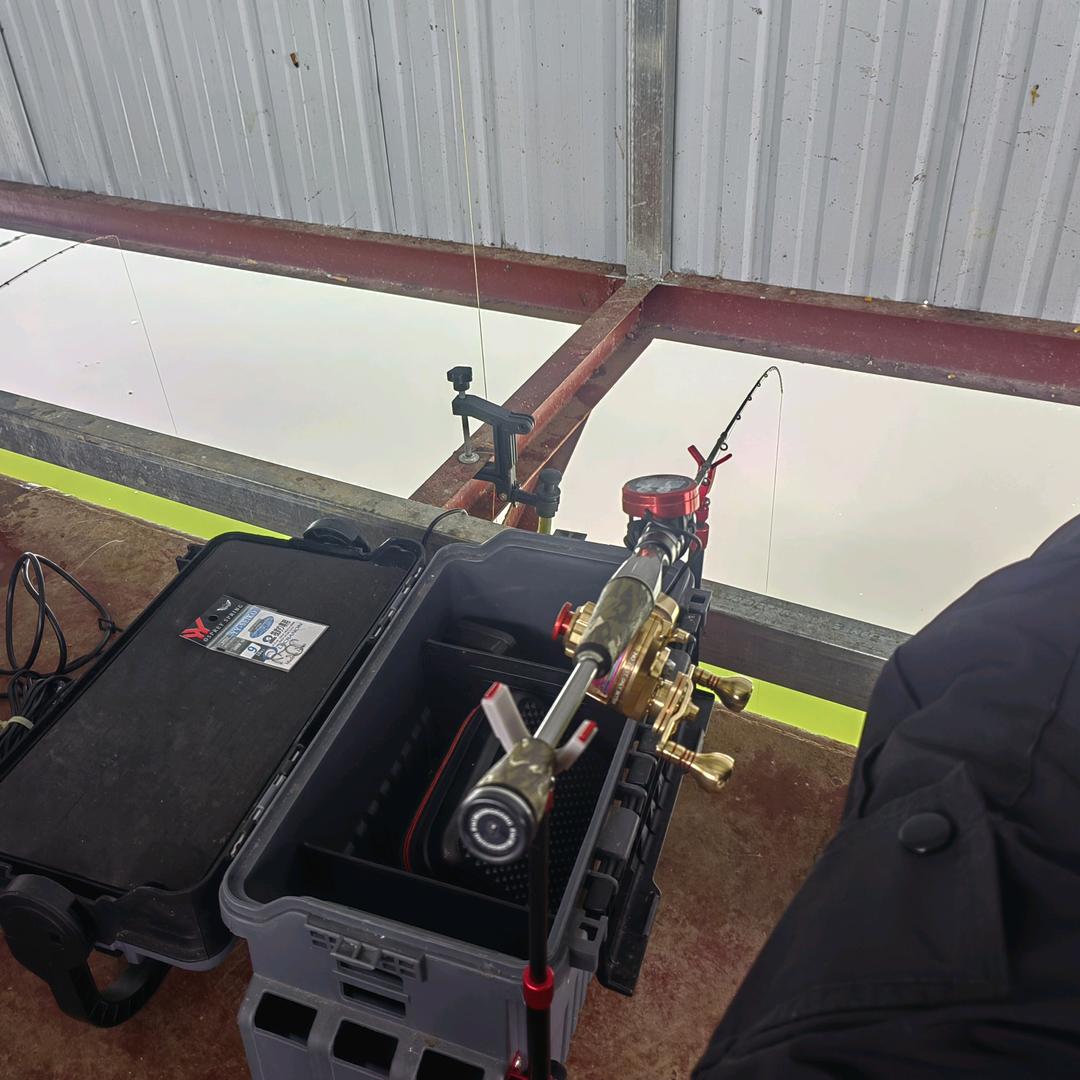 菜鸟渔翁—石头