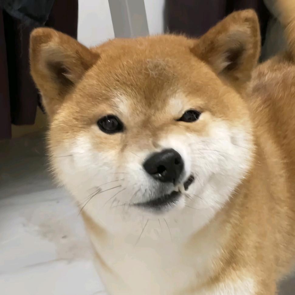 十五-