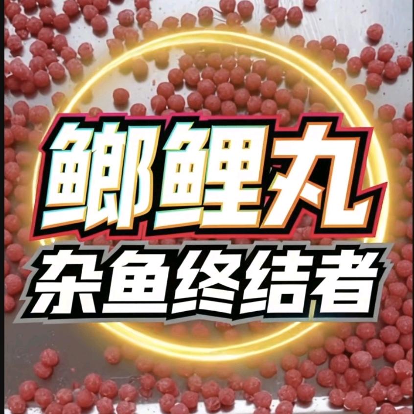 鲫鲤丸小杂鱼终结者