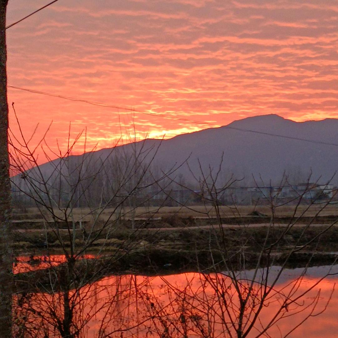 @没有背景🌸只有背影