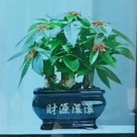 @长长久久