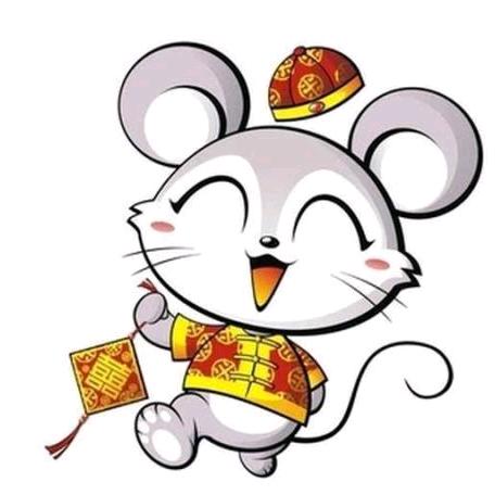 顺其自然🔥🔥🔥（纯属娱乐)