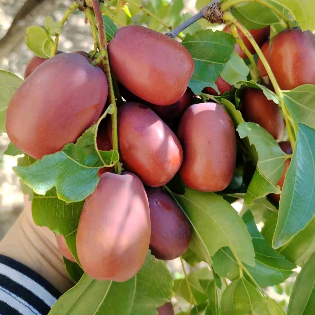 汇美园名优特产店