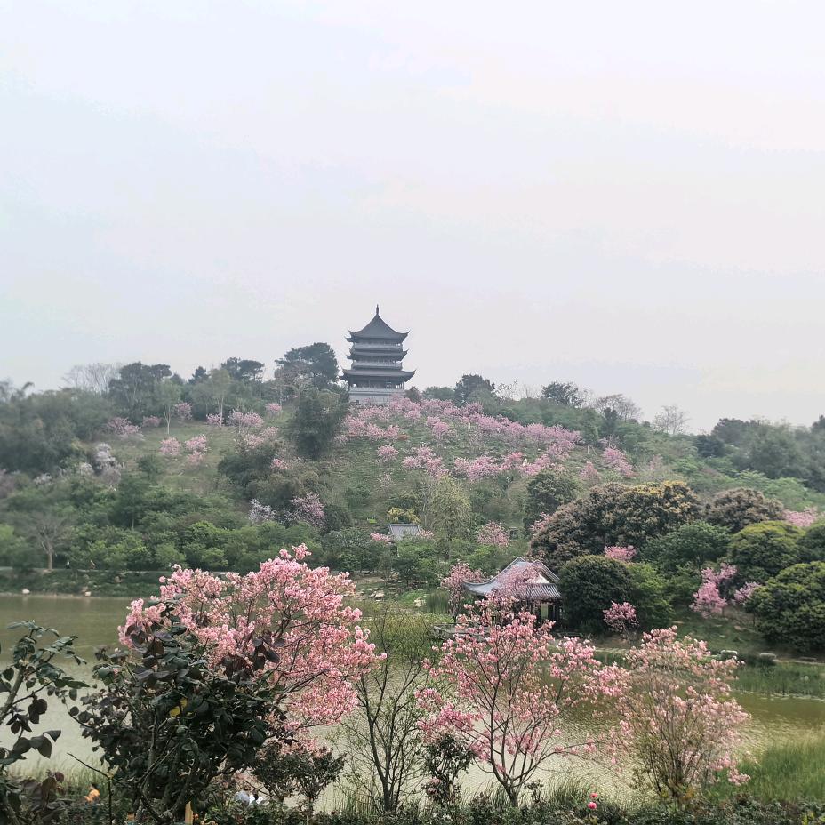 ໑ຼₒ₂₅ღ好运加满⁺¹⁰⁰