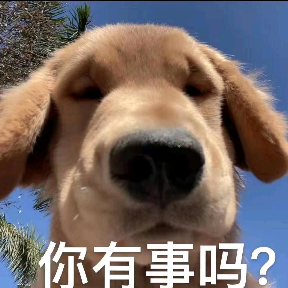 小白