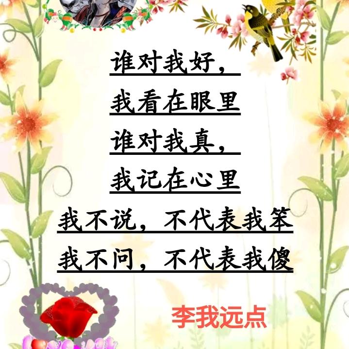 ✨爱无悔✨