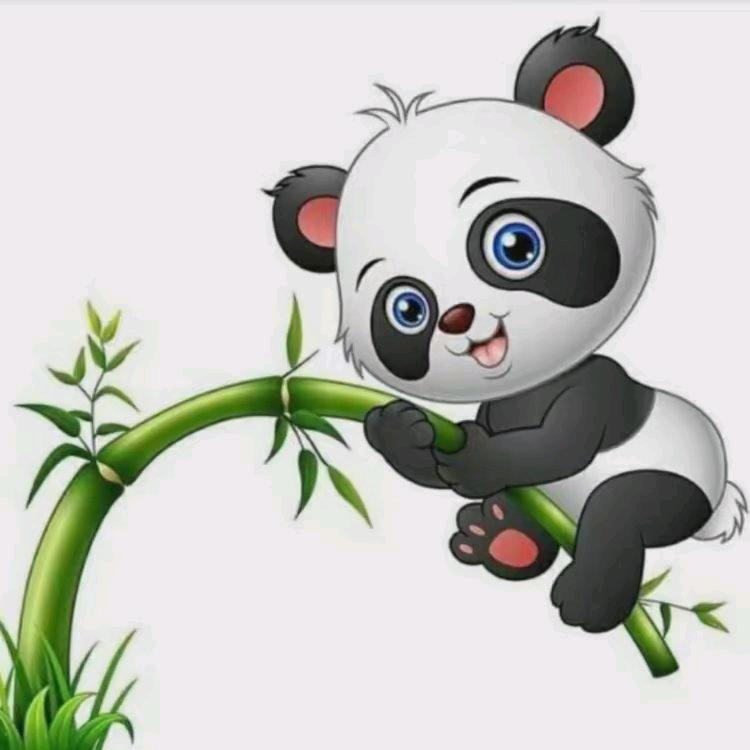凯凯