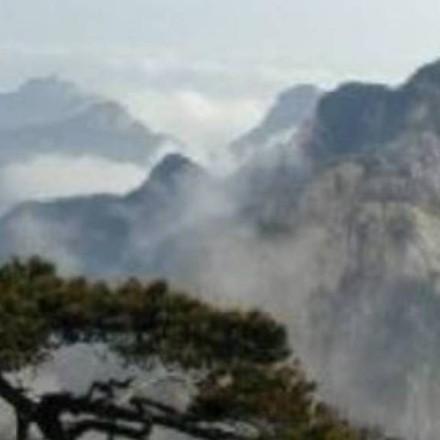 辛福小区ysp