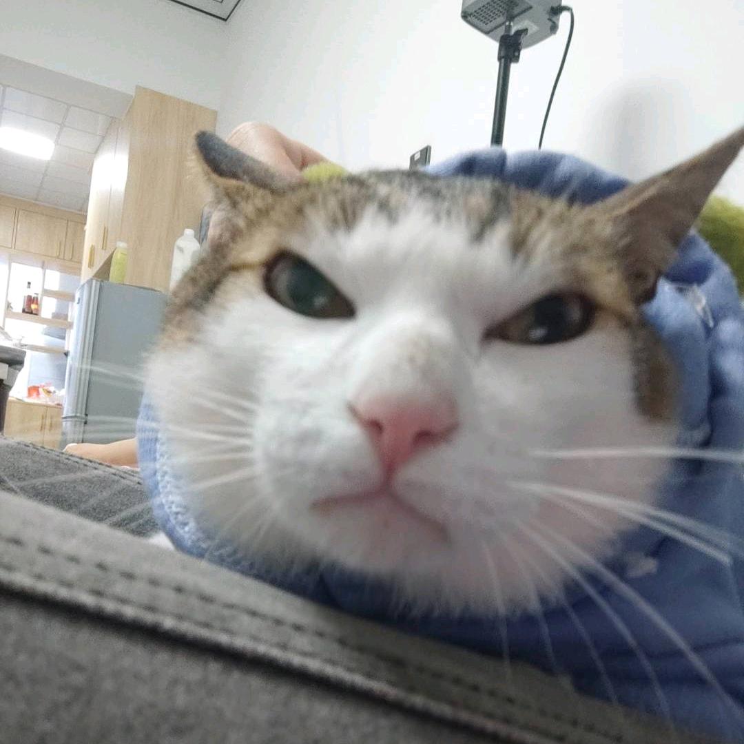 5y